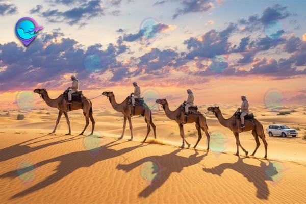 شتر سواری سافاری کیش